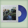 Avondale Drive LP by Nicki Bluhm album artwork