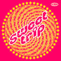 Seen / unseen 2LP by Sweet Trip album artwork