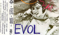 Evol CASSETTE by Sonic Youth album artwork