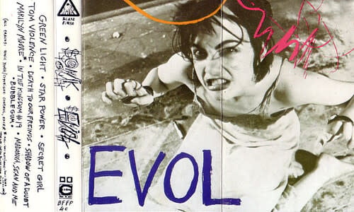 Evol CASSETTE by Sonic Youth album artwork