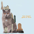 Fire Doesn't Grow on Trees LP by The Brian Jonestown Massacre album artwork