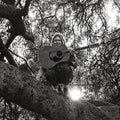 Hello, Hi CD by Ty Segall album artwork