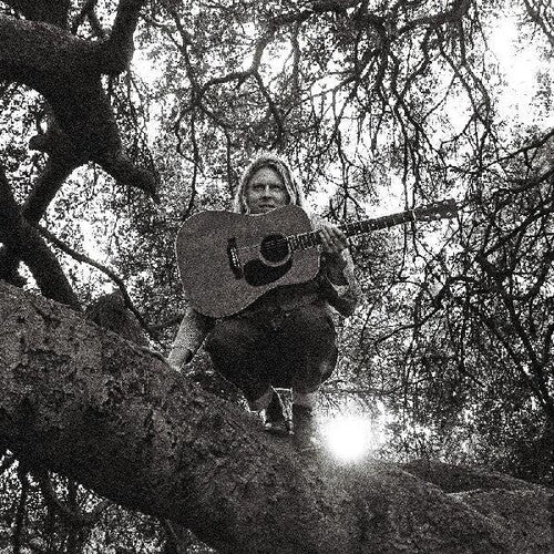 Hello, Hi CD by Ty Segall album artwork