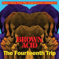 Brown Acid-The Fourteenth Trip LP by Various album artwork