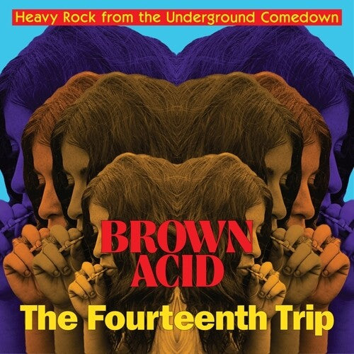 Brown Acid-The Fourteenth Trip LP by Various album artwork