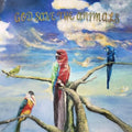God Save the Animals CD by Alex G album artwork