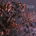 Internal Radio LP by Ernie Wanda album artwork