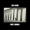 Most Normal LP by Gilla Band (f.k.a. Girl Band) album artwork