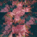 Prism LP by Say She She album artwork