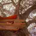 Waiting to Spill CD by Backseat Lovers album artwork