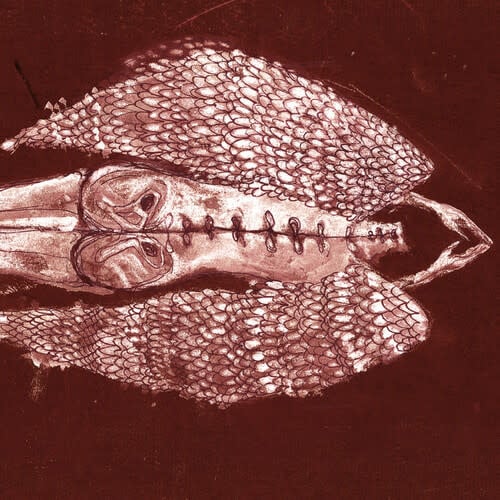 Homb 2LP by Cerberus Shoal album artwork