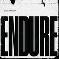 Endure CD by Special Interest album artwork