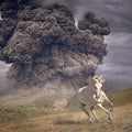 Year Of The Dark Horse LP by The White Buffalo album artwork