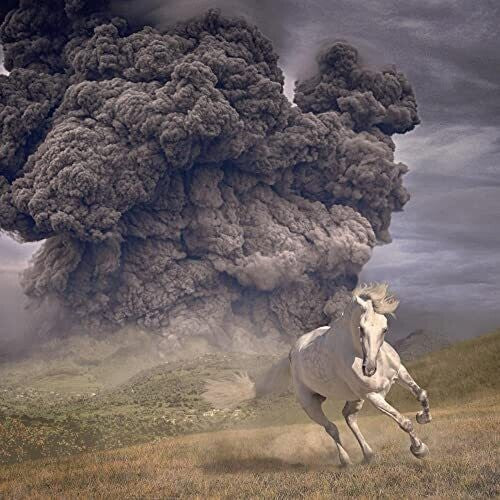 Year Of The Dark Horse LP by The White Buffalo album artwork
