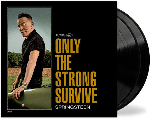 Only The Strong Survive 2LP by Bruce Springsteen album artwork