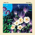 Desert Flowers LP by Heather Trost album artwork