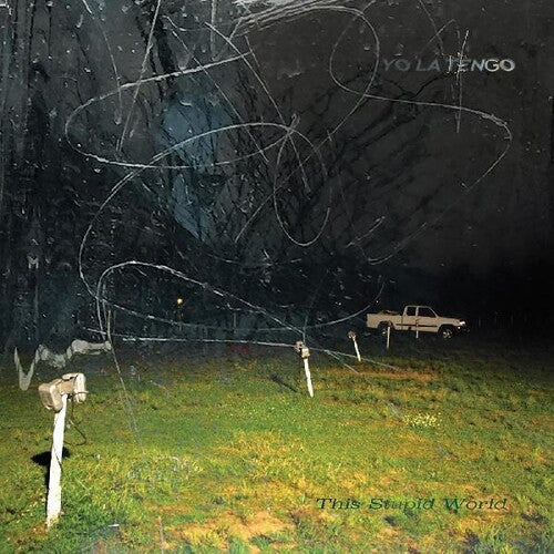 This Stupid World CD by Yo La Tengo album artwork