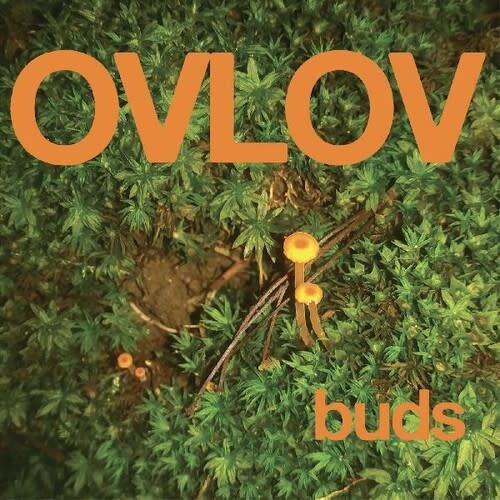 Buds LP by Ovlov album artwork