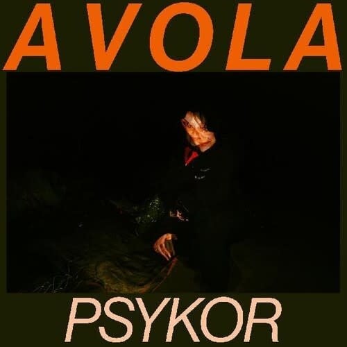 Psykor CASSETTE by Avola album artwork