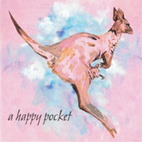 A Happy Pocket 2LP by Trashcan Sinatras album artwork