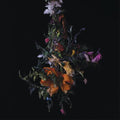 nature morte LP by BIG|BRAVE album artwork
