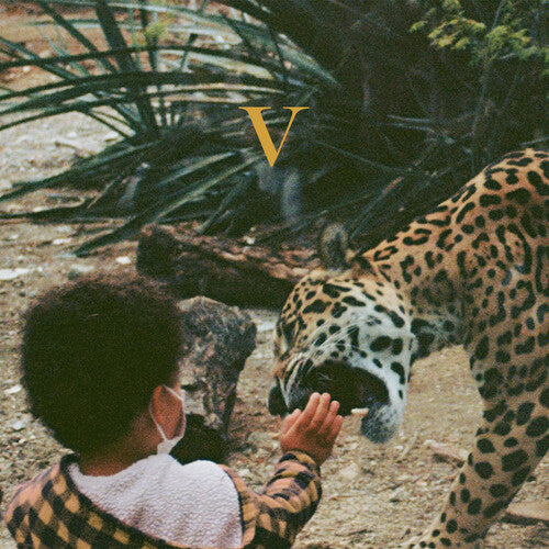 V CD by Unknown Mortal Orchestra album artwork