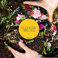 Euphoric Recall LP by Braids album artwork