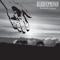 From Cradle to Grave LP by Subhumans album artwork