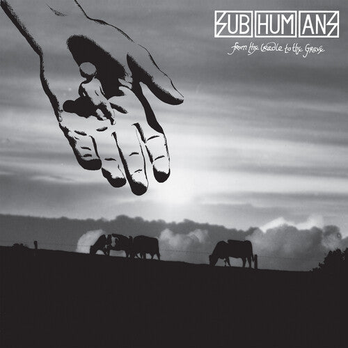 From Cradle to Grave LP by Subhumans album artwork