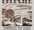 Carried to Dust LP by Calexico album artwork