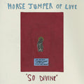 So Divine CASSETTE by Horse Jumper of Love album artwork