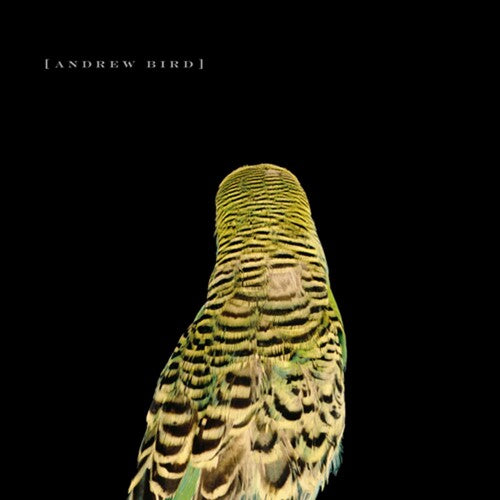Armchair Apocrypha CD by Andrew Bird album artwork