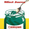 Mint Jams LP by Casiopea album artwork