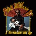 Rich White Honky Blues LP by Hank Williams Jr. album artwork