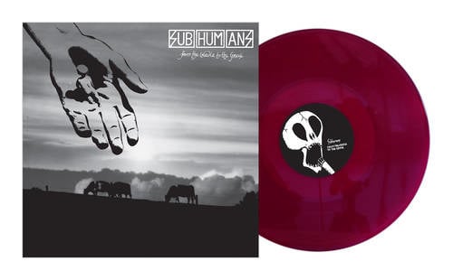 From The Cradle To the Grave LP by The Subhumans album artwork