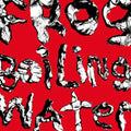 Frog in Boiling Water LP by DIIV album artwork
