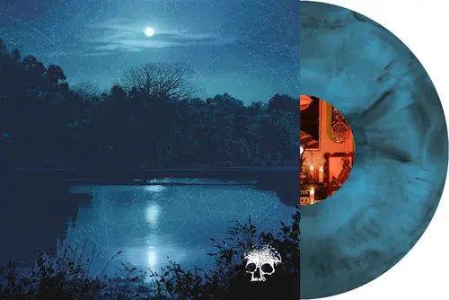 Do You Still Love Me? LP by Planes Mistaken For Stars album artwork