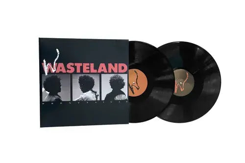 Wasteland 2LP by Brent Faiyaz album artwork