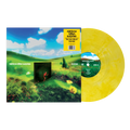 Bones LP by Rainbow Kitten Surprise album artwork