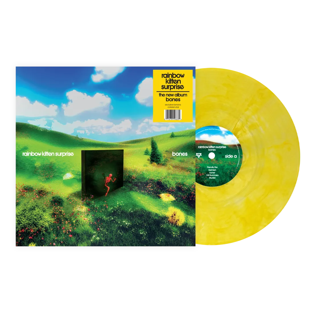 Bones LP by Rainbow Kitten Surprise album artwork