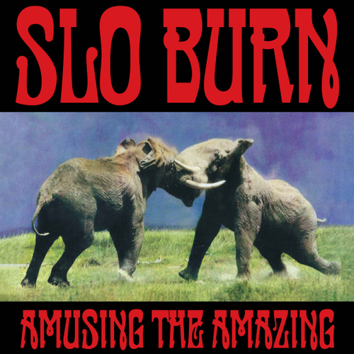 Amusing the Amazing LP by Slo Burn album artwork
