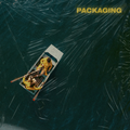Self-Titled by Packaging album artwork
