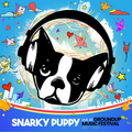 Live at Groundup Music Festival LP by Snarky Puppy album artwork