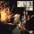 Gravity Freeze LP by Little Barrie album artwork