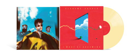 I Must Be Dreaming LP by Alabama Shakes album artwork