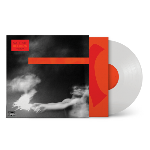 Reborn LP by Nate Sib album artwork