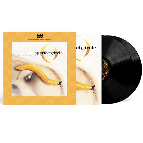 Thirteenth Step 2LP by A Perfect Circle album artwork