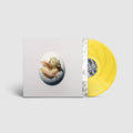 Swallow! LP by Shygirl album artwork