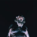 The Great Dismal LP by Nothing album artwork
