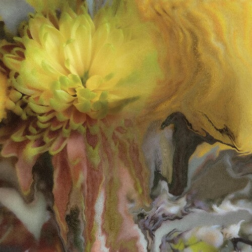 Wilderness Within You LP by Parker Millsap album artwork